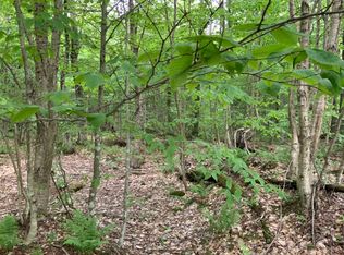 95 Maple Ridge Rd, Redfield, NY 13437