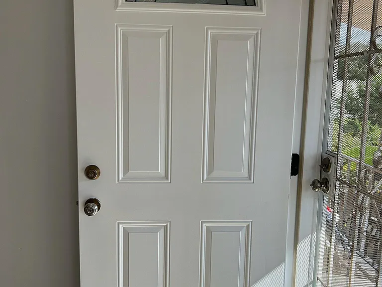 Designer front door