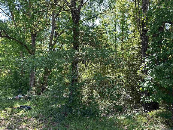 5th image of 16051 Pride Port Hudson Rd