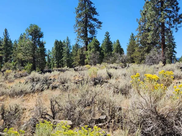 Juniper Way, Susanville, CA 96130