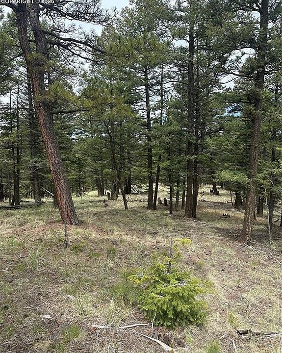 1st image of 1120 N Mountain Estates Rd