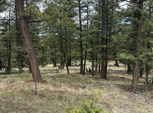 1120 N Mountain Estates Rd, Florissant, CO 80816