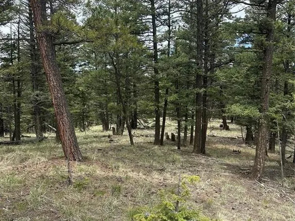 1120 N Mountain Estates Rd, Florissant, CO 80816
