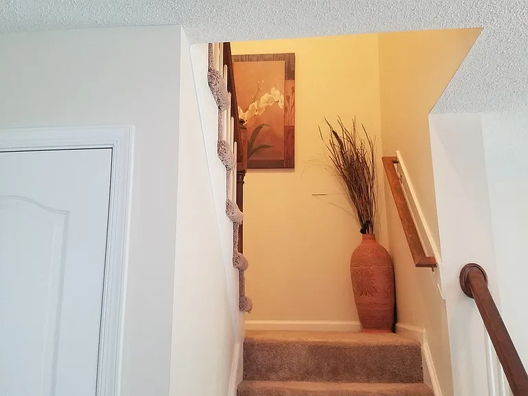 1001 Shoal Creek Trl — Photo 11