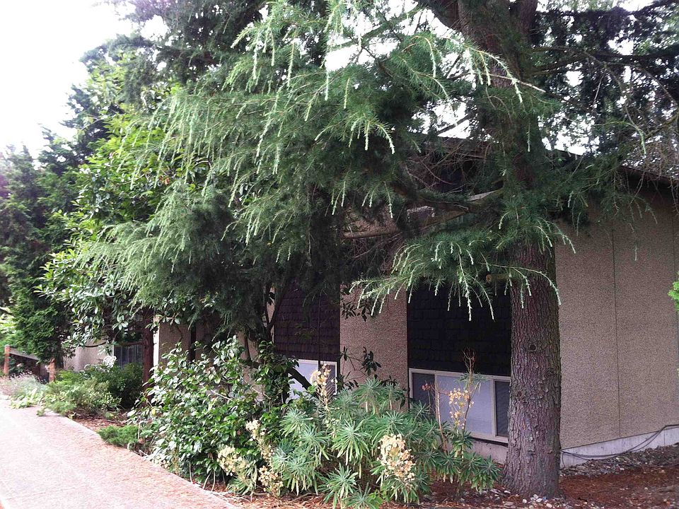 2nd image of 7431 26th Ave NE