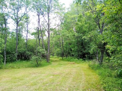 11858 Four Point Rd, Fife Lake, MI, 49633