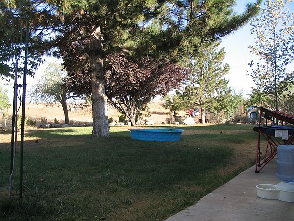 Lots of shade right out your back door