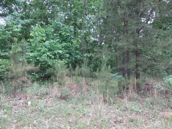 0 Greene 715 Rd, Paragould, AR 72450