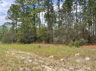 2799 W Bravura Dr, Citrus Springs, FL 34433
