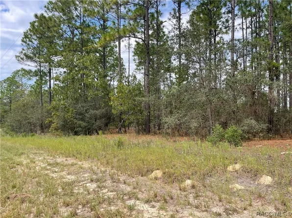 2799 W Bravura Dr, Citrus Springs, FL 34433
