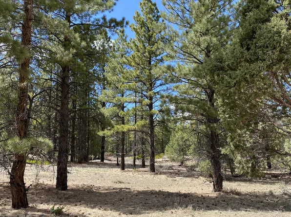 11 Elk Meadows Dr, Duck Creek Village, UT 84762