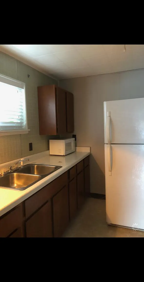 1007 Pine Rd — Photo 4