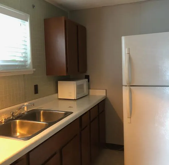 1007 Pine Rd — Photo 4
