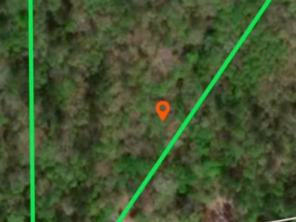 2nd image of 199 Pineway Dr