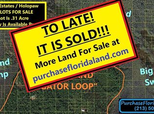 Holopaw Groves Rd, Saint cloud, FL 34771