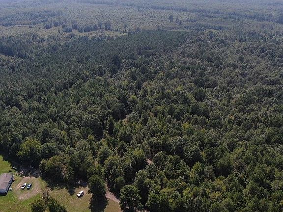 5th image of Jonquil Rd