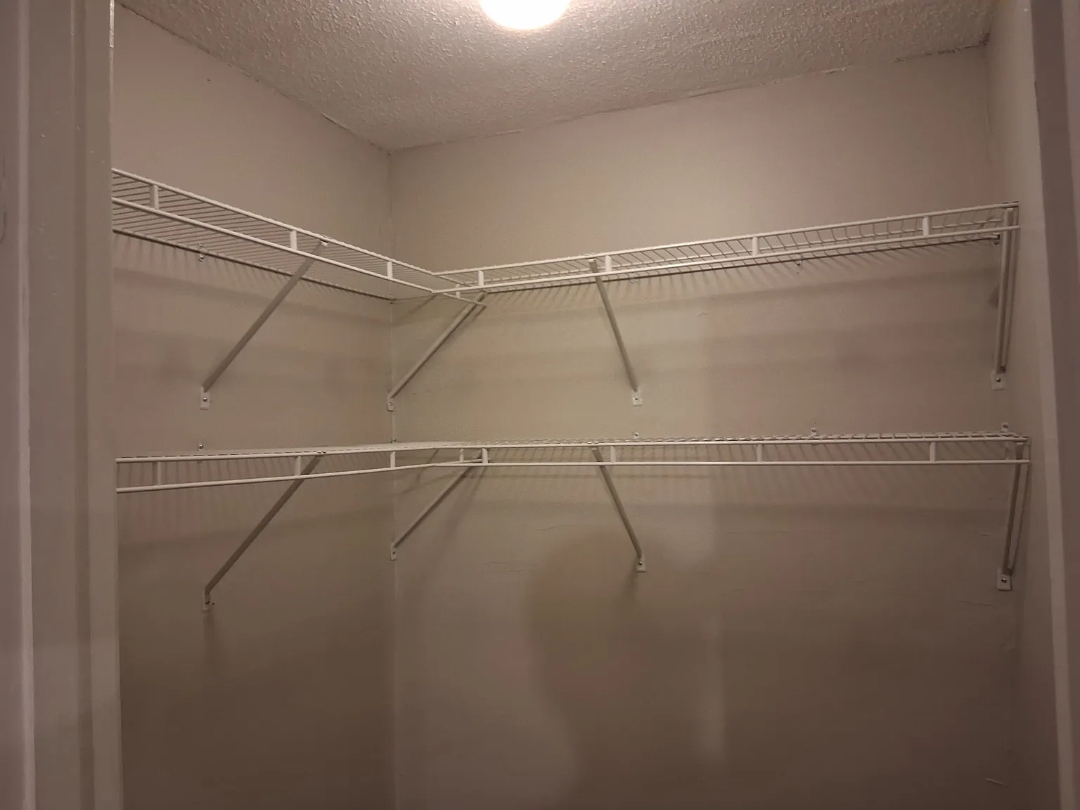 3 bed, 1440 sqft, $1,000 — Photo 4