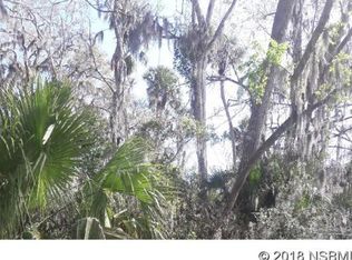 Needle Palm Dr, Edgewater, FL 32141