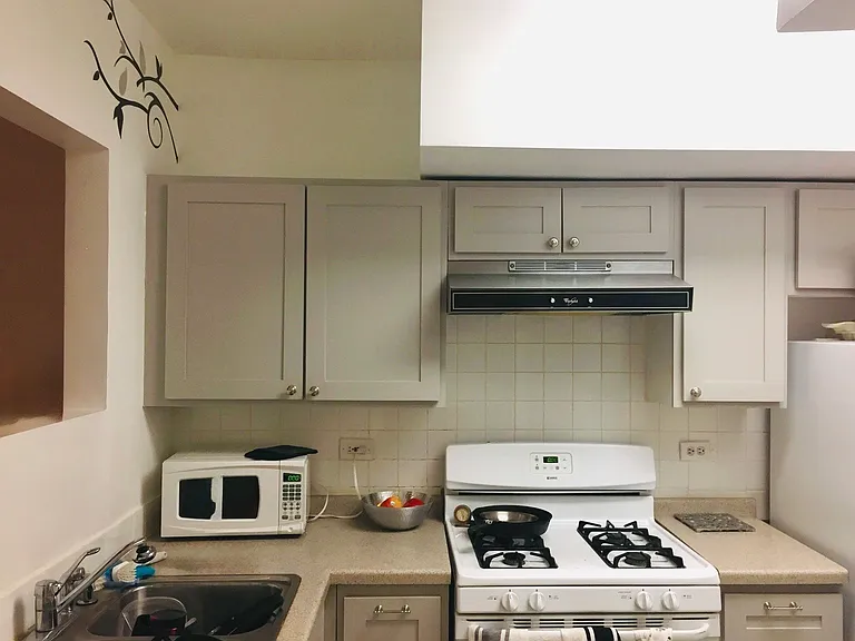 727 S Ashland Ave — Photo 7