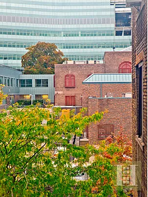 Rented by Halstead Real Estate | media 8