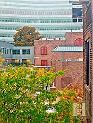 Rented by Halstead Real Estate