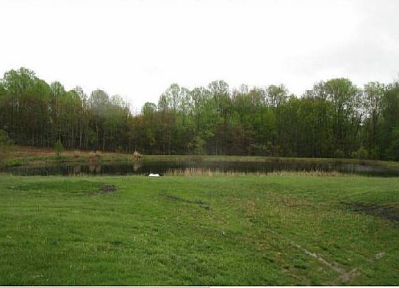 Back Pond