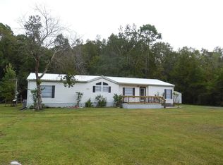261 Horsetail Ave, Middleburg, FL 32068