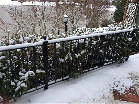 Backyard - Winter