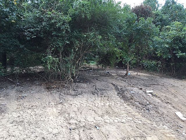 2nd image of 11 Idella Ln
