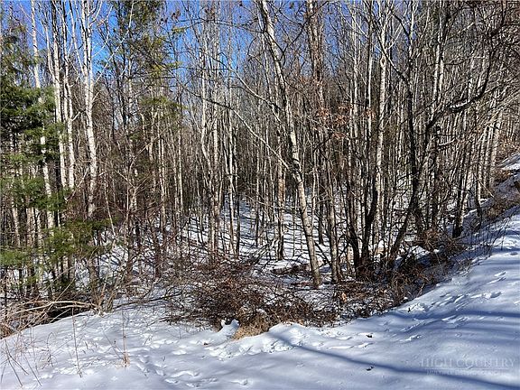 4th image of TBD (13 & 14) Timberwilde Drive