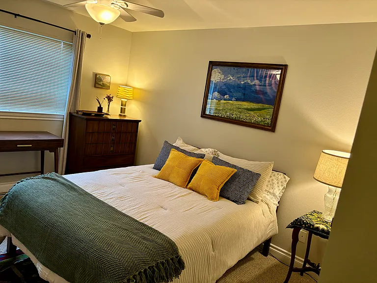 Downstairs bedroom
