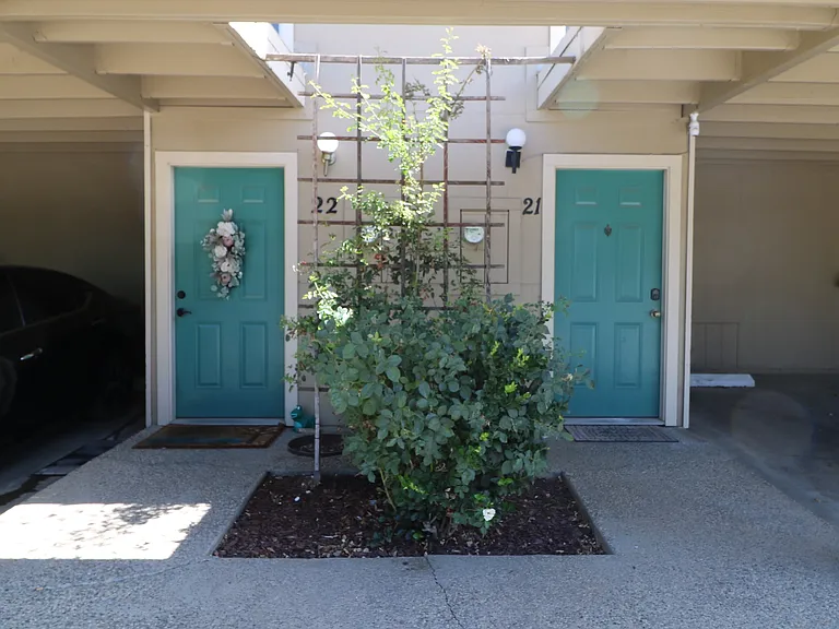 2305 Cheim Blvd #7 — Photo 4