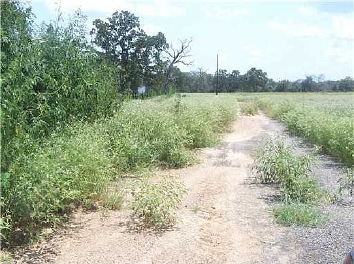 1st image of 5354 County Road 358