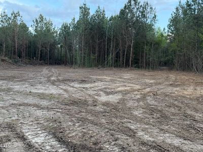 Velma Moore Rd Lot 2, Lawrence, MS, 39336