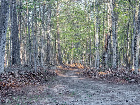 2nd image of 0 Evergreen Ln