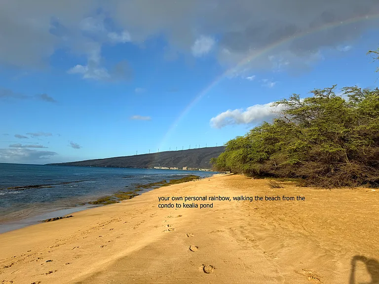 Morning Walks along 5 mile beach, this rainbow at Kealia pond. Maalaea in the distance