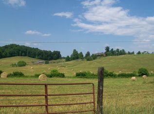 864 Spring Creek Rd, Craigsville, WV 26205