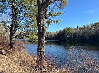 0 Opeongo Rd, Madawaska Valley, ON K0J2N0