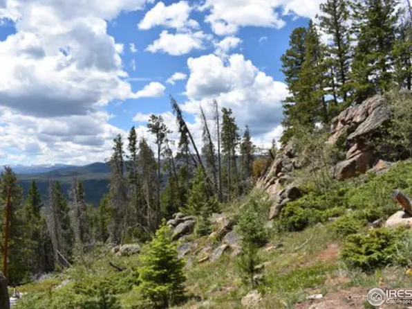 85 Piegan Ct, Red Feather Lakes, CO 80545
