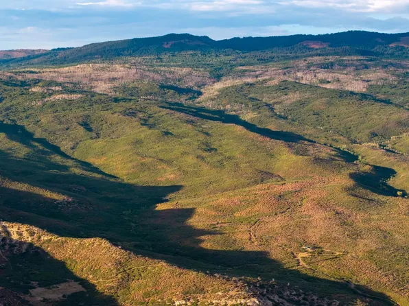 0 Currant Creek Rd, Cedaredge, CO 81413