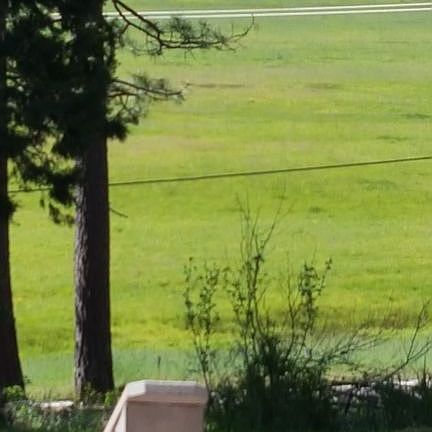 meadow view from deck