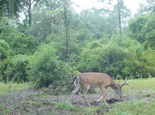 0 County Line Rd, Lee, FL 32059