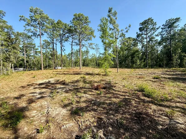 0 NE 157th Ave, Williston, FL 32696