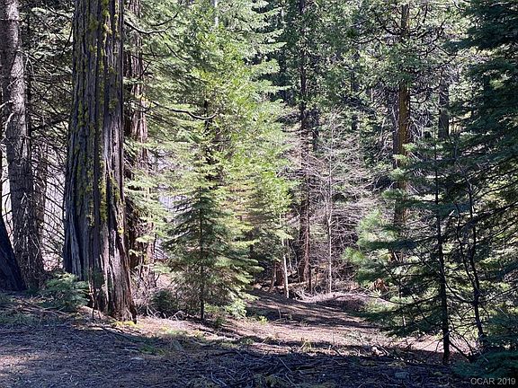 5th image of 4242 Highway 4