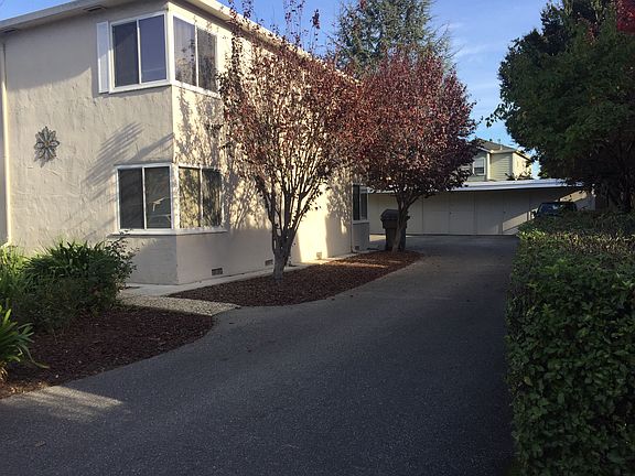 driveway to detached garages