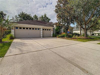 10231 Shadow Branch Dr, Tampa, FL, 33647