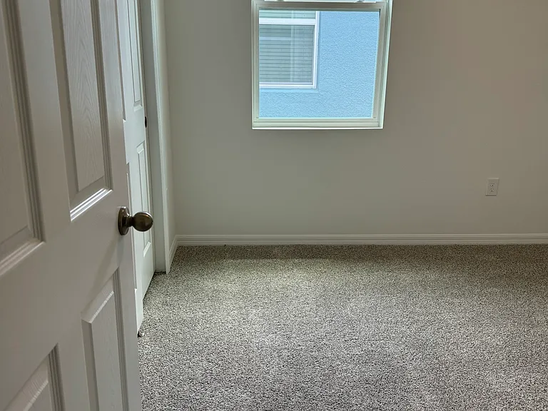 3629 Walking Stick Way — Photo 36