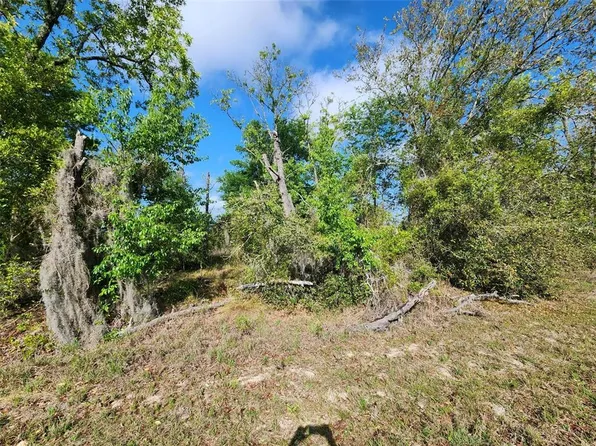 SW Oxalis Ct Lot 15, Dunnellon, FL 34431