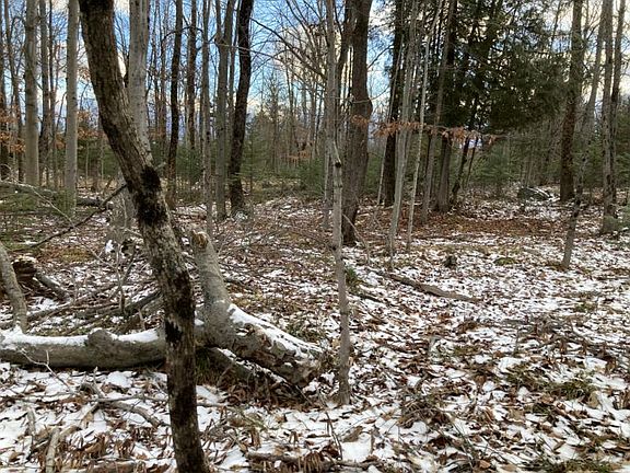 3rd image of 35260 S Shore Rd Parcel B