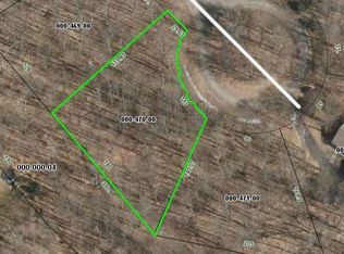 Blue Spruce Ct, Gaylord, MI 49735